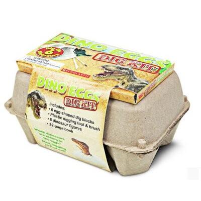 Dino Egg Carton Science Activity Kit