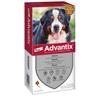 Advantix® Spot-on per cani oltre 40 kg fino a 60 kg - Set %: 12 pipette (6 ml)