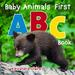 Baby Animals First ABC Book