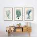 Wexford Home Antique Coastal Coral VI Framed On Canvas 3 Pieces Print Canvas, Solid Wood | 48 H x 96 W x 2 D in | Wayfair CF11-S5985-FLN513