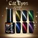 (Buy 2 Get 1 Free)Magic Cat Eye Nail Polish Cat Eye Gel Nail Polish Long-Lasting UV LED Gel Polish Semi Permanent Cat eye top coat nail gel polish