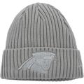 Youth New Era Gray Carolina Panthers Color Pack Cuffed Knit Hat