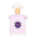 Guerlain - Insolence 75ml Eau de Parfum Spray / 2.5 fl.oz. for Women