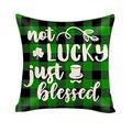 Sehao New home gift ideas Pillow Case St. Patrick s Day Home Cushion Survived Family Pillowcase Throw Pillow Cover Home Garden Nylon B