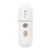 KAGAYD Portable Hand-held Beauty Instrument Hot And Cold Steaming Face Humidifier