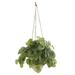 Nearly Natural 24? Watermelon Peperomia Artificial Plant in Hanging Vase (Real Touch)