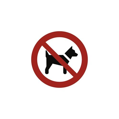 Schild Mitführen von Hunden verboten gemäß ASR A1.3 DIN7010 Alu 20cm wetterfest