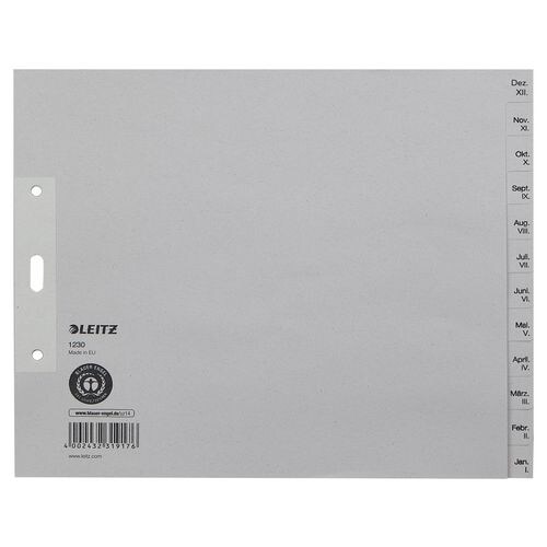 Leitz Dez - Jan Monatsregister Recycled DIN A5 Grau 12-teilig 100 g/m² Pappkarton 3 Löcher 1230 Image