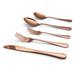 Elyon Luly Mirror Colored Stainless Steel Flatware Set 20 Pieces