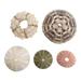 NUOLUX Holder Urchinseashell Shell Decor Tank Fish Collection Ornament Craft Landscape Aquarium Coastal Sea Decorations Pot