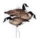 Higdon FLATS Magnum Canada Goose Motion Decoys - 12 Pack