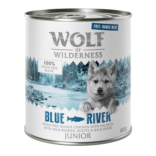 12 x 800 g Wolf of Wilderness Junior 