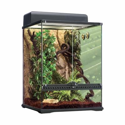 Exo-Terra Rainforest Reptile Terrarium Kit, Medium