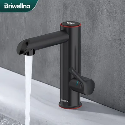 Briwellna-Mini chauffe-eau électrique robinet chauffant en acier inoxydable pour HO220 V