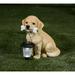 Luxenhome 12 Outdoor Statue Puppy With Solar Light Garden Statue Outdoor Sculpture Garden Are For Patio Court Backyard