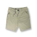 Men's Sunday Sports 19" Hybrid Sport Shorts - Gold 30" Baja Llama