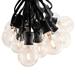 The Holiday Aisle® Hinds 50' Outdoor 50 - Bulb Globe String Light in Green/White/Black | 50 W in | Wayfair C4F3A581B77441F08D38C8937544D434