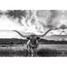 Steelside™ Black & White Longhorn Cow I - Wrapped Canvas Photograph Paper/Metal in Black/Gray/White | 32 H x 48 W x 1.25 D in | Wayfair