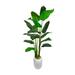 Primrue Ozbourn 66" Artificial Banana Leaf Tree in Pot Plastic/Fiberstone/Polysilk in White | 66 H x 56 W x 56 D in | Wayfair