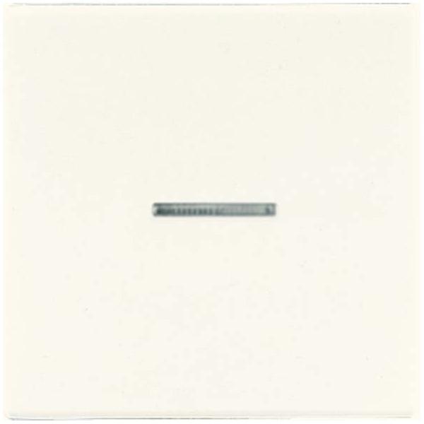 Jung Wippe Lichtleiter ws LS 990 KO5 LS990KO5 Image