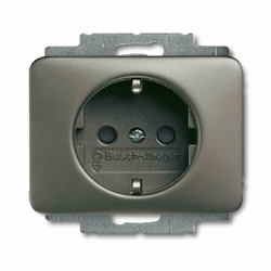 Busch-Jaeger alpha Steckdose, 1f, platin, matt, Unterputz, horizontal/vertikal, IP20, Zentralplatte Image