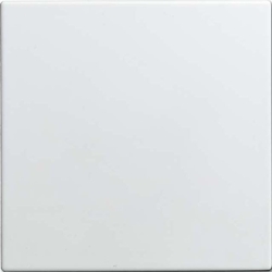 Busch-Jaeger Blindzentralscheibe 1576 C-914 2CKA001582A0401 Image