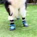 1 Set Pet Dog Warm Shoes Stylish Outdoor Dog Boots Anti-slip Pet Dog Walking Shoes Comfortable Pet Dog Boots Cool Pet Dog Shoes for Autumn Winter Wearing Blue Size M