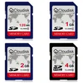 Cloudisk SD Card Class 6 4GB World Map Class 4 2GB 1GB 128MB Memory Card for Camera