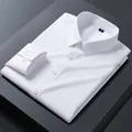 Spring Autumn Men's Long Sleeve Shirts Business Casual Wrinkle Resistant Solid Color Lapel Formal