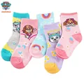 10PCS=5pairs Hot Sale Original Paw Patrol 2023 Winter sock Anime Doll Ryder Skye Plush Toy Juguetes