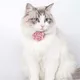 Cat Collar Adjustable Bow Tie Cat Flower Collar Safety Button Tie Necklace Puppy and Cat Gift Pet