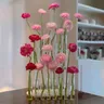 Reagenzglas vasen hochkarätige Glas ornamente frische Blumen hydro po nische Pflanz gefäße
