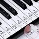 61/88 Key Transparent Piano Keyboard Stickers Removable Electronic Keyboard Key Piano Stave Note