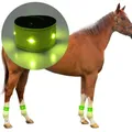 LED Luminous Horse Leg Protection Belt Luminous Equipment Reflective Leg Ankle Strap Night Walking