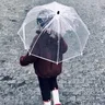 Alpaka Kinder Transparent Regenschirm Cartoon Sonne Fower Kinder Regenbogen Dot