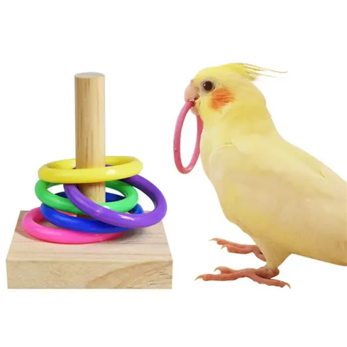 Vogel training Spielzeug Set Holzblock Puzzle Spielzeug für Papageien bunte Plastik ringe