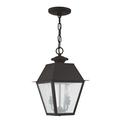 2 Light Outdoor Pendant Lantern in Coastal Style 9 inches Wide By 15 inches High-Bronze Finish Bailey Street Home 218-Bel-1119431