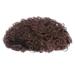 Short Curly Wavy Wig Women Synthetic Hair Wig Exquisite Elastic Net Wig Cover for Ladies (Brown)