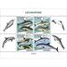 Guinea - 2022 Dolphins Dusky Harbour Porpoise Striped - 4 Stamp Sheet GU220206a
