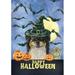 Border Collie - HHS Best of Breed Halloween House Flag