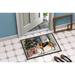 The Holiday Aisle® Jeminah Non-Slip Indoor Door Mat Synthetics | 27 H x 18 W in | Wayfair 1E7A6340EB7D4AF3AF51B31BCA78C6E2