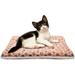 Plus Cotton Warm Cotton Pad Small Dog Dog Pad Cat Thickened Velvet Pad Dog Blanket Lamb Fleece Blanket