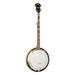 Washburn Americana Series 5 String Banjo