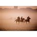 Five People Riding Thoroughbred Horses in a Field Curragh County Kildare Republic of Ireland Poster Print by The Irish Image Collection - 36 x 24 - Large