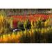 Autumn Colours Bannockburn Central Otago New Zealand Poster Print by David Wall - 28 x 18 in.