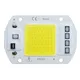 Lampada a LED COB Chip AC 220V Lampadina a LED 10W 20W 30W 50W IP65 Smart IC ad alta potenza Lampadina di inondazione fai da te Faretto Lampada a chip per esterni