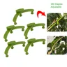 5 pezzi clip per l'allenamento delle piante a forma di V clip per l'allenamento dello stelo della