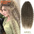 Ariel capelli sintetici Twist Crochet capelli ricci 24 pollici onda d'acqua treccia capelli Ombre