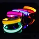 LED collare per cani cane incandescente luminoso LED collare per animali domestici collare per cani