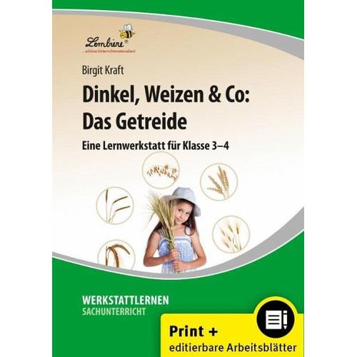 Dinkel, Weizen & Co: Das Getreide